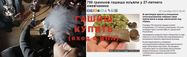 гидра Ельня