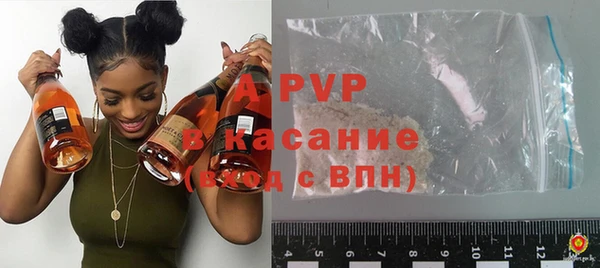 гидра Ельня