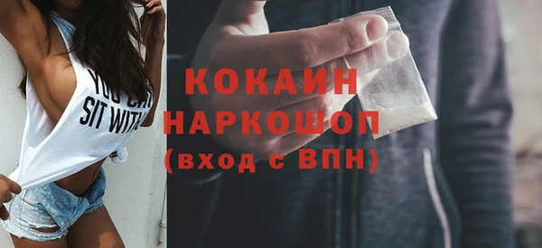 шишки Заволжск