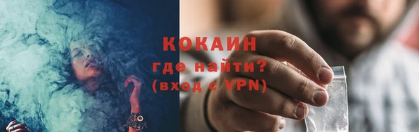 гидра Ельня