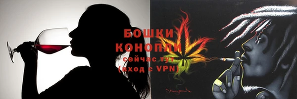 гидра Ельня