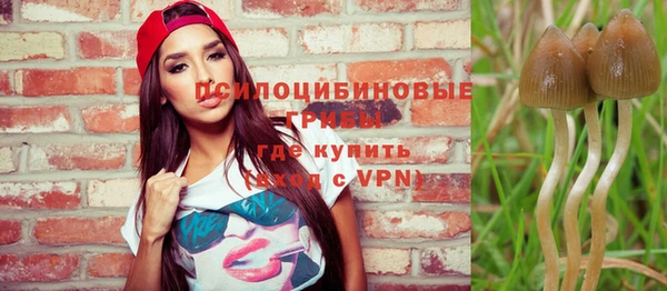 гидра Ельня