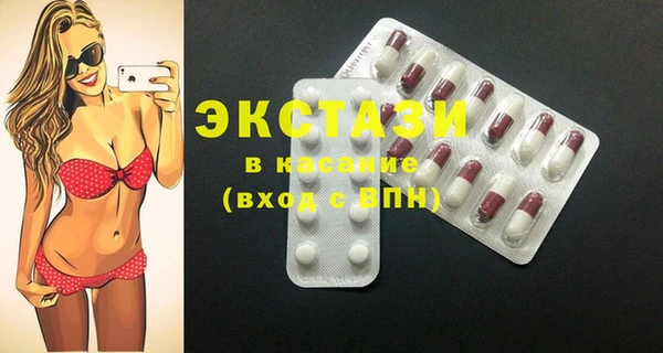 гидра Ельня