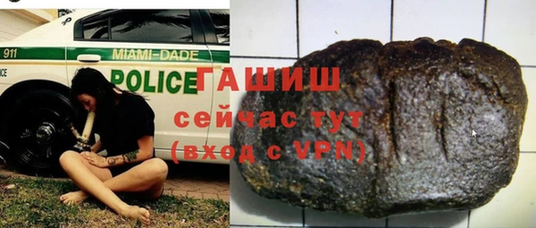 гидра Ельня