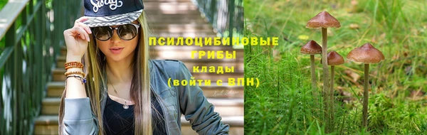 гидра Ельня