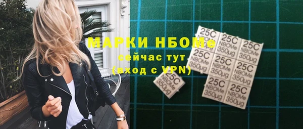 гидра Ельня