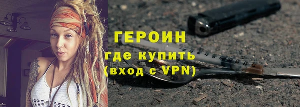 гидра Ельня