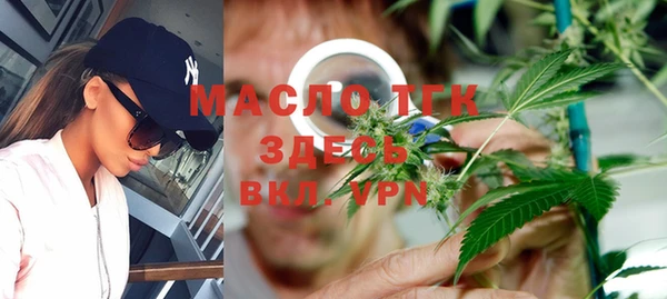 шишки Заволжск