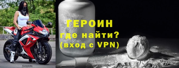 гидра Ельня