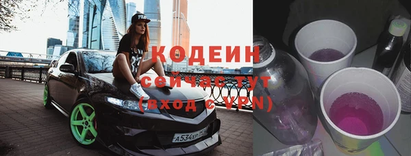 гидра Ельня